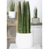 Bogenhanf 'Straight', Topf-Ø 14 Cm, Höhe Ca. 50 Cm -LECHUZA || Elho Verkaufsgeschäft 0250200242 Sansevieria Cylindrica Straight