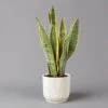 Bogenhanf In Übertopf Vibes Weiß, Topf-Ø 12 Cm, Höhe Ca. 45 Cm 1 Bogenhanf In Übertopf Vibes Weiß, Topf-Ø 12 Cm, Höhe Ca. 45 Cm -LECHUZA || Elho Verkaufsgeschäft 0250200811 Sansevieria trif in uebertopf weiss Elho Vibes 124881