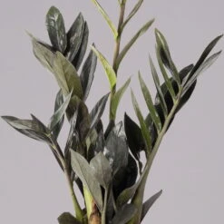 Glücksfeder 'Raven', Schwarz, Topf-Ø 14 Cm, Höhe Ca. 45 Cm -LECHUZA || Elho Verkaufsgeschäft 0250300121 Zamioculcas Raven T14 12 117760