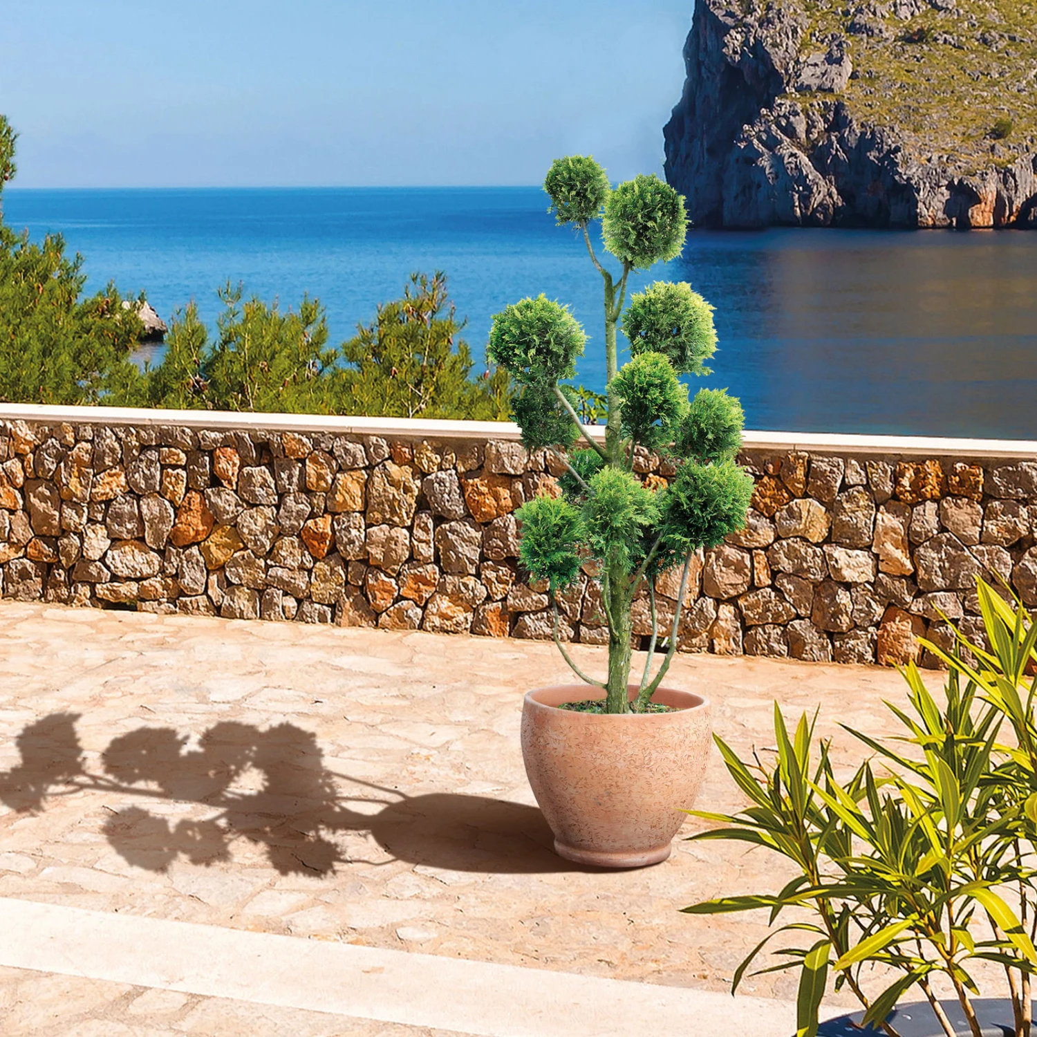 Gelbe Baumzypresse, Pompon, Höhe 150-175 Cm, Topf 35 Liter 3 Gelbe Baumzypresse, Pompon, Höhe 150-175 Cm, Topf 35 Liter