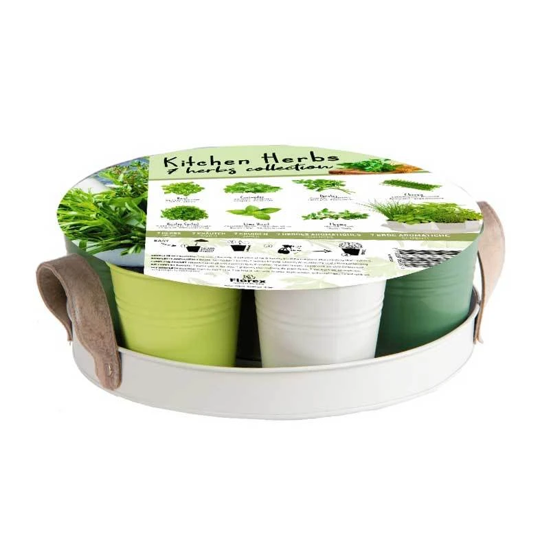 XL-Kollektion Mit 7 Verschiedenen Küchenkräutersamen 3 XL-Kollektion Mit 7 Verschiedenen Küchenkräutersamen