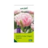 Tulpen 'Foxtrott', Rosa, 40 Blumenzwiebeln 1 Tulpen 'Foxtrott', Rosa, 40 Blumenzwiebeln -LECHUZA || Elho Verkaufsgeschäft 0720100846 KB Gefuellte fruehe Tulpen Foxtrot rosa 107153