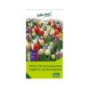 Überraschungsmischung Bauerngarten 75 Blumenzwiebeln 1 Überraschungsmischung Bauerngarten 75 Blumenzwiebeln -LECHUZA || Elho Verkaufsgeschäft 0720800123 kb ueberraschungsmischung bauerngarten 114240