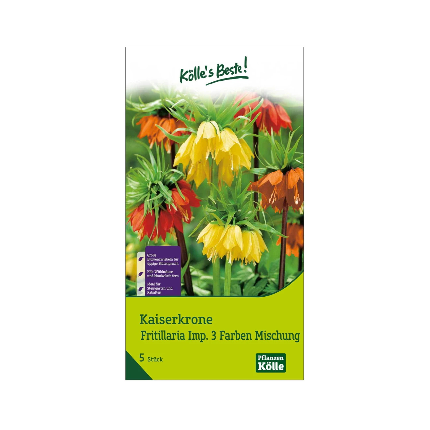 Kaiserkrone (Fritillaria) 3-Farben Mischung, 5 Blumenzwiebeln 3 Kaiserkrone (Fritillaria) 3-Farben Mischung, 5 Blumenzwiebeln
