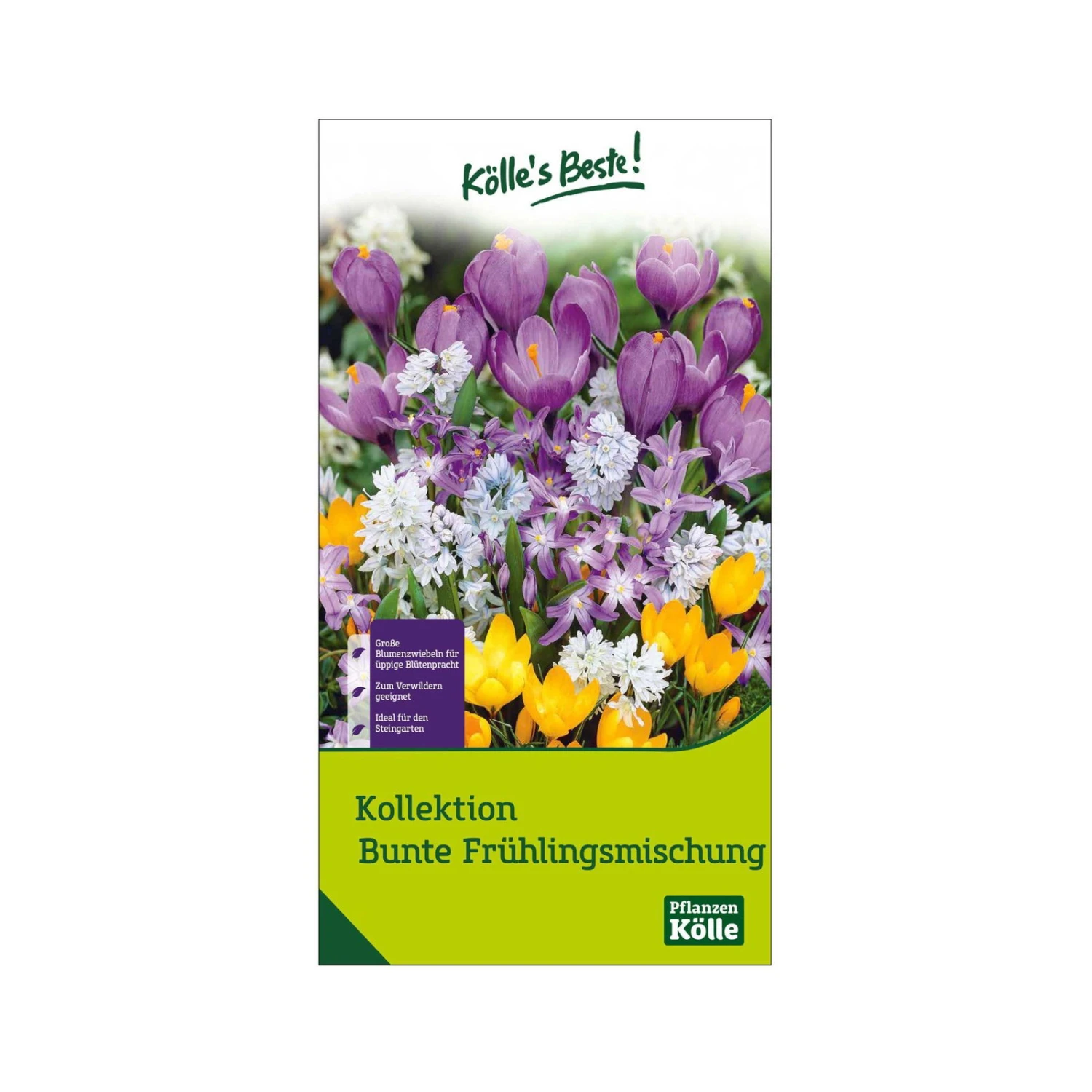 Bunte Frühlingsmischung, 100 Blumenzwiebeln 3 Bunte Frühlingsmischung, 100 Blumenzwiebeln