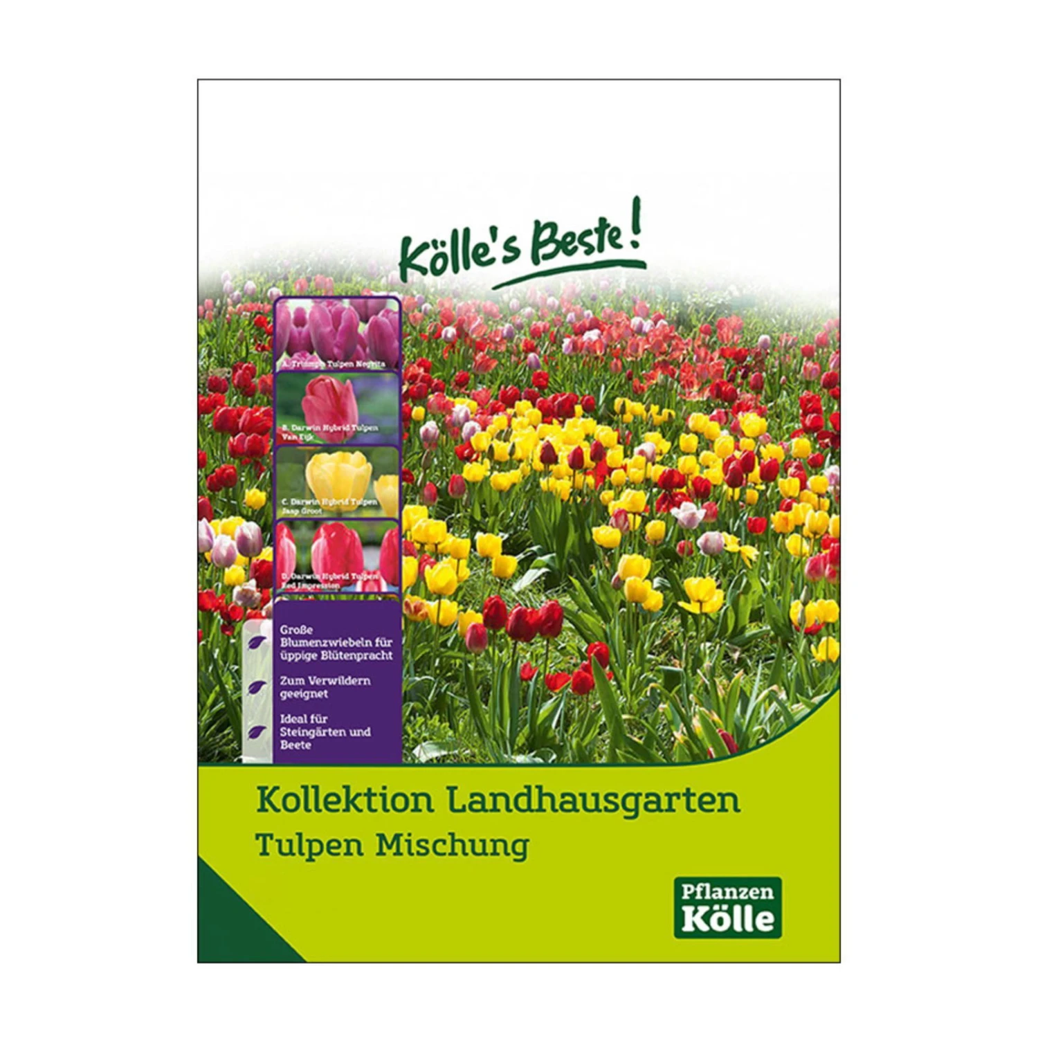 Tulpen-Kollektion Landhausgarten, 50 Blumenzwiebeln 3 Tulpen-Kollektion Landhausgarten, 50 Blumenzwiebeln