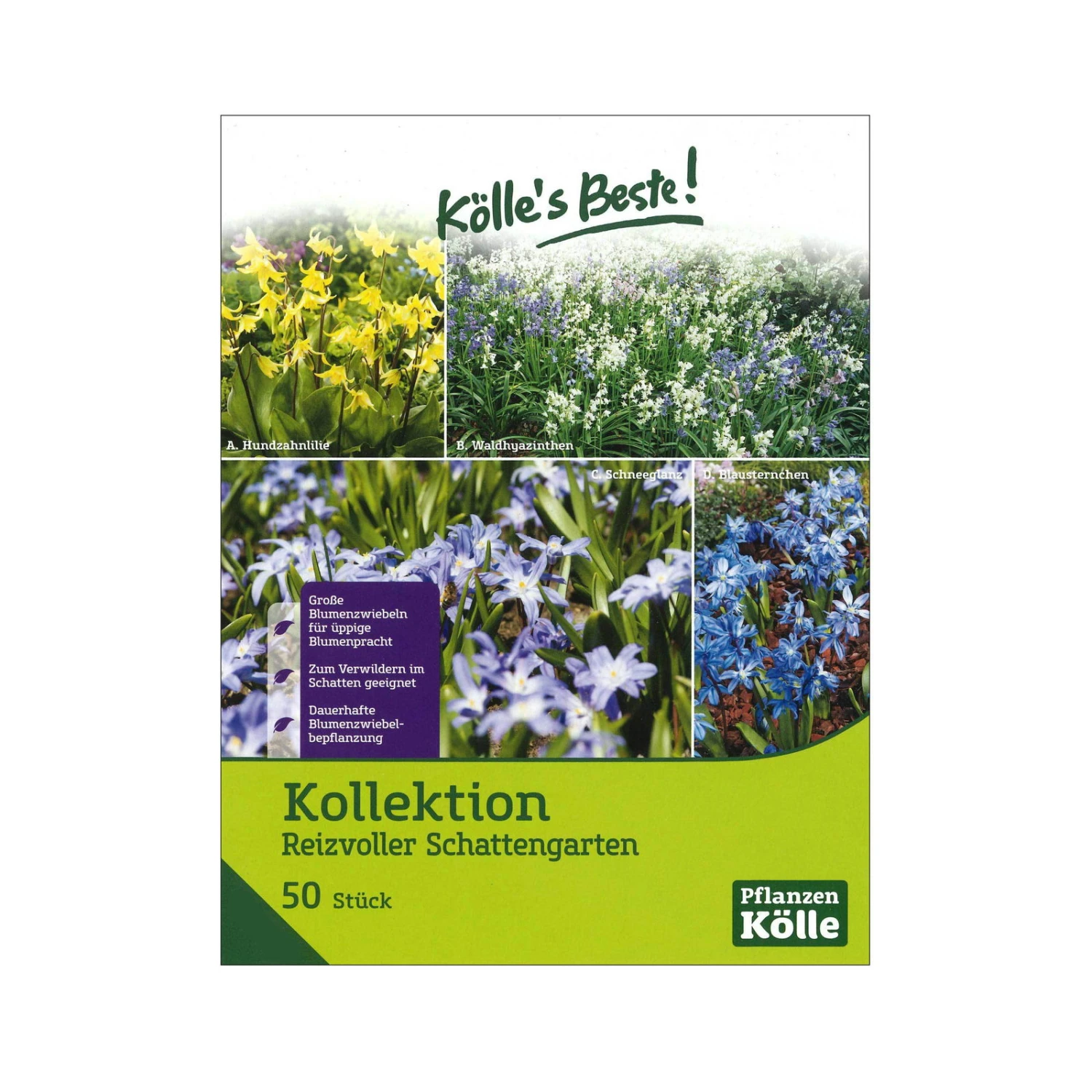 Kollektion Reizvoller Schattengarten, 50 Blumenzwiebeln 2 Kollektion Reizvoller Schattengarten, 50 Blumenzwiebeln