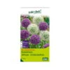 XXL Allium Mischung 'Riesenlauch Schönheiten', Weiß, Lila, 5 Blumenzwiebeln 2 XXL Allium Mischung 'Riesenlauch Schönheiten', Weiß, Lila, 5 Blumenzwiebeln -LECHUZA || Elho Verkaufsgeschäft 0720800174 KB Kollektion Riesenlauch Schoenheiten Allium Mischung XXL 1 94238