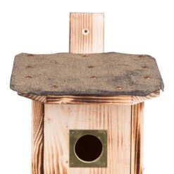 Kölle Nistkasten Für Stare Aus Fichtenholz Mit Dachpappe 5 Kölle Nistkasten Für Stare Aus Fichtenholz Mit Dachpappe -LECHUZA || Elho Verkaufsgeschäft 0910150169 Koelle Nistkasten fuer Stare Einflugloch zoom 117807