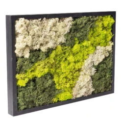 Eckiges Moosbild Mit Schwarzem Rahmen, Klein, 24 X 17 Cm 10 Eckiges Moosbild Mit Schwarzem Rahmen, Klein, 24 X 17 Cm -LECHUZA || Elho Verkaufsgeschäft 1530150085 Moosbild eckig 24 cm 1 115778