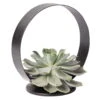 Sukkulente Im Metallring, Höhe Ca. 22 Cm 1 Sukkulente Im Metallring, Höhe Ca. 22 Cm -LECHUZA || Elho Verkaufsgeschäft 1530150097 Echevieria im Metallring D20cm 2 116604
