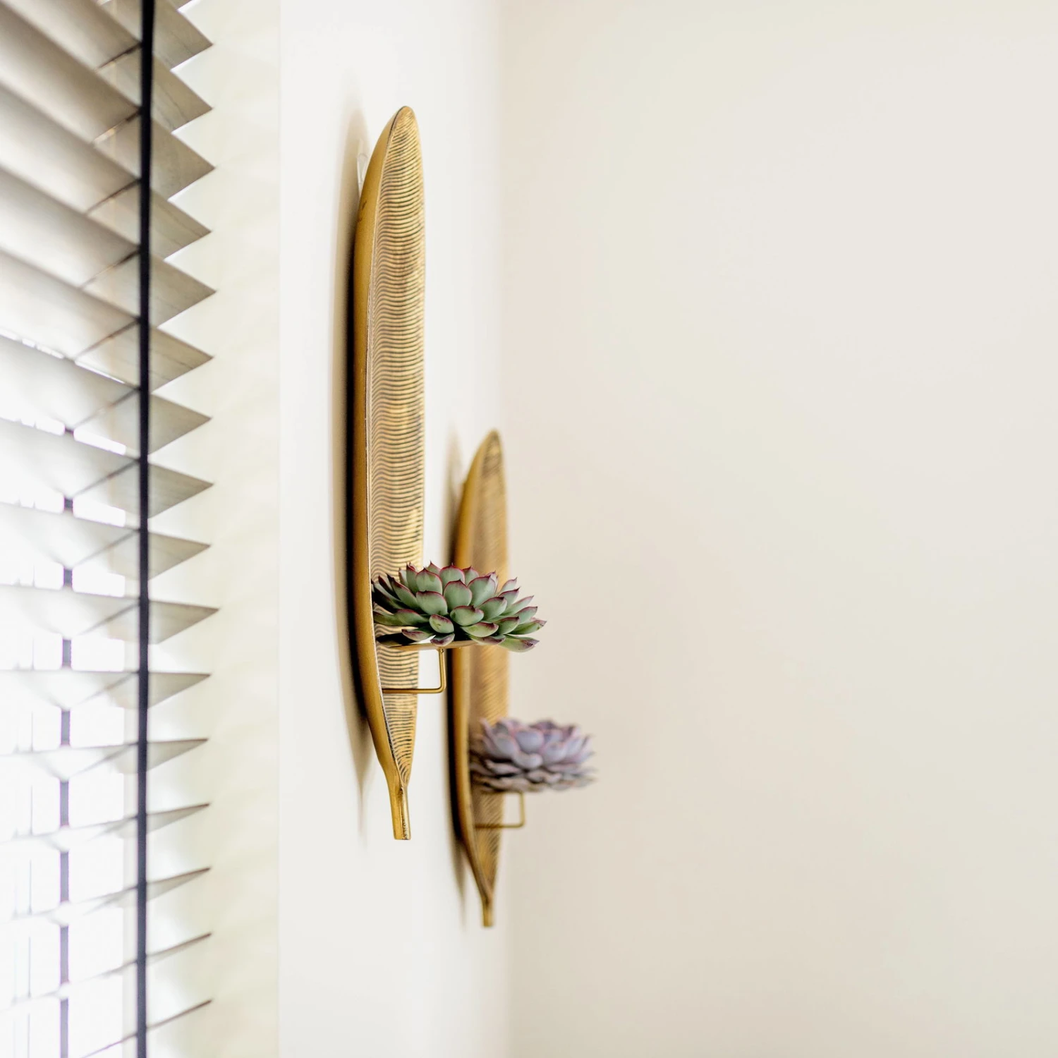 Sukkulente Mit Wandhalter In Blattform, Höhe Ca. 50 Cm 4 Sukkulente Mit Wandhalter In Blattform, Höhe Ca. 50 Cm – Bild 2