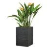 Pflanzgefäß 'Muretto High', Eckig, Stein, Schwarz, Kunststoff -LECHUZA || Elho Verkaufsgeschäft 3210103983 3210103984 Pflanzgefaess Muretto High schwarz 97792