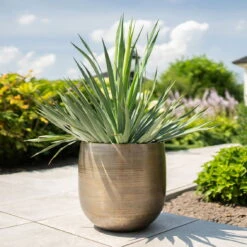 Pflanzgefäß 'Rowen', Gold, Ø 42 X H 41 Cm 13 Pflanzgefäß 'Rowen', Gold, Ø 42 X H 41 Cm -LECHUZA || Elho Verkaufsgeschäft 3210801622 Pflanzgefaess Rowen gold D 42 x H 41 cm 1 114988