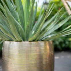 Pflanzgefäß 'Rowen', Gold, Ø 42 X H 41 Cm 12 Pflanzgefäß 'Rowen', Gold, Ø 42 X H 41 Cm -LECHUZA || Elho Verkaufsgeschäft 3210801622 Pflanzgefaess Rowen gold D 42 x H 41 cm 2 114989