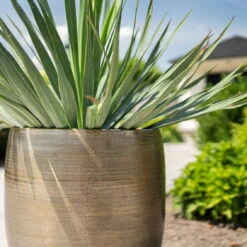 Pflanzgefäß 'Rowen', Gold, Ø 42 X H 41 Cm 11 Pflanzgefäß 'Rowen', Gold, Ø 42 X H 41 Cm -LECHUZA || Elho Verkaufsgeschäft 3210801622 Pflanzgefaess Rowen gold D 42 x H 41 cm 4 114991