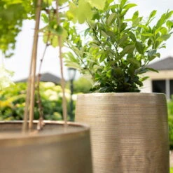 Pflanzgefäß 'Rowen', Gold, Ø 47 X H 82 Cm 16 Pflanzgefäß 'Rowen', Gold, Ø 47 X H 82 Cm -LECHUZA || Elho Verkaufsgeschäft 3210801630 3210801631 3210801632 3210801633 Pflanzgefaess Rowen gold 2 115015