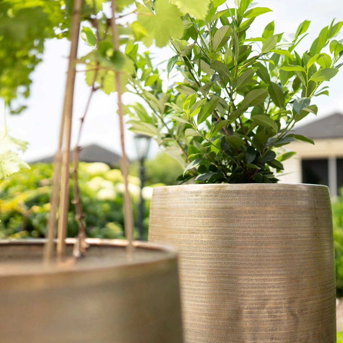 Pflanzgefäß 'Rowen', Gold, Ø 47 X H 82 Cm 9 Pflanzgefäß 'Rowen', Gold, Ø 47 X H 82 Cm – Bild 7