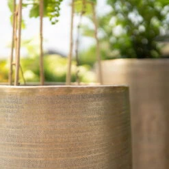 Pflanzgefäß 'Rowen', Gold, Ø 47 X H 82 Cm 15 Pflanzgefäß 'Rowen', Gold, Ø 47 X H 82 Cm -LECHUZA || Elho Verkaufsgeschäft 3210801630 3210801631 3210801632 3210801633 Pflanzgefaess Rowen gold 3 115016