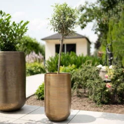 Pflanzgefäß 'Rowen', Gold, Ø 47 X H 82 Cm 14 Pflanzgefäß 'Rowen', Gold, Ø 47 X H 82 Cm -LECHUZA || Elho Verkaufsgeschäft 3210801630 3210801631 3210801632 3210801633 Pflanzgefaess Rowen gold 4 115017