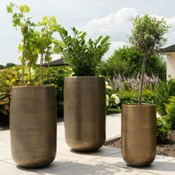 Pflanzgefäß 'Rowen', Gold, Ø 47 X H 82 Cm 12 Pflanzgefäß 'Rowen', Gold, Ø 47 X H 82 Cm -LECHUZA || Elho Verkaufsgeschäft 3210801630 3210801631 3210801632 3210801633 Pflanzgefaess Rowen gold 8 115020