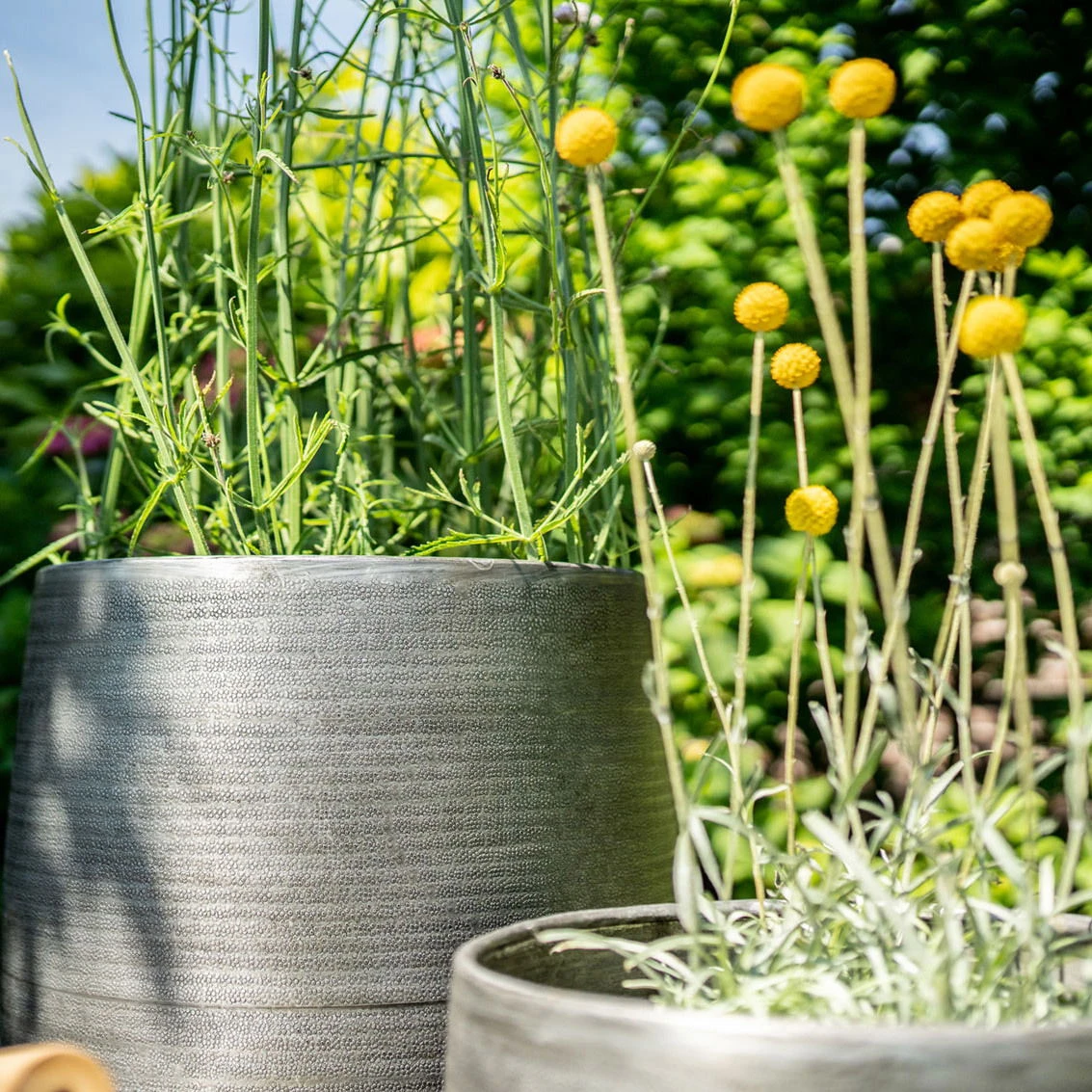 Pflanzgefäß 'Rowen', Silber, Ø 47 X H 82 Cm 6 Pflanzgefäß 'Rowen', Silber, Ø 47 X H 82 Cm – Bild 4