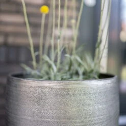 Pflanzgefäß 'Rowen', Silber, Ø 47 X H 82 Cm 19 Pflanzgefäß 'Rowen', Silber, Ø 47 X H 82 Cm -LECHUZA || Elho Verkaufsgeschäft 3210801635 3210801636 3210801637 3210801638 Pflanzgefaess Rowen silber 7 115026