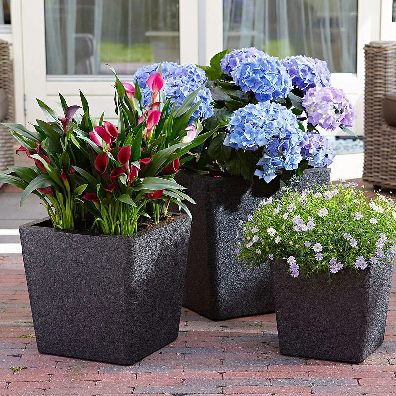 Pflanztrog IQ Dutch Aria, Schwarz, Frostfest Bis - 40 °C, Zu 100% Recycelbar 3 Pflanztrog IQ Dutch Aria, Schwarz, Frostfest Bis - 40 °C, Zu 100% Recycelbar