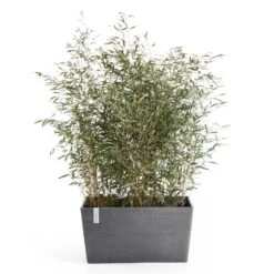 Titelseite 31 Titelseite -LECHUZA || Elho Verkaufsgeschäft 3230101236 pflanzkasten paris 2 117480