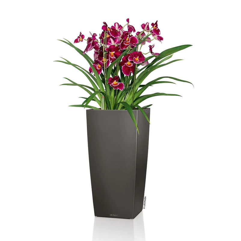 LECHUZA Cubico Premium 40, Anthrazit-metallic, All-in-One-Set, 40 X 40, H:75 Cm 3 LECHUZA Cubico Premium 40, Anthrazit-metallic, All-in-One-Set, 40 X 40, H:75 Cm