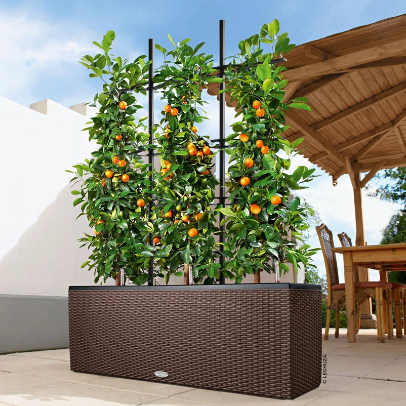 Lechuza Trio Cottage 30, Mokka, All-in-One-Set