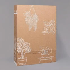 Aglaonema 'Stripes', Topf-Ø 12 Cm Mit Übertopf Dallas Weiß -LECHUZA || Elho Verkaufsgeschäft B2 02 Karton Sets mit Keramik 1 126161 1