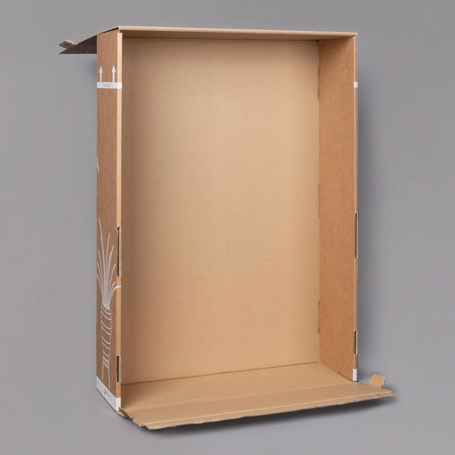 Usambaraveilchen In Keramiktopf Dallas Weiß, Weiß, Topf-Ø 12 Cm, 3er-Set 6 Usambaraveilchen In Keramiktopf Dallas Weiß, Weiß, Topf-Ø 12 Cm, 3er-Set – Bild 4