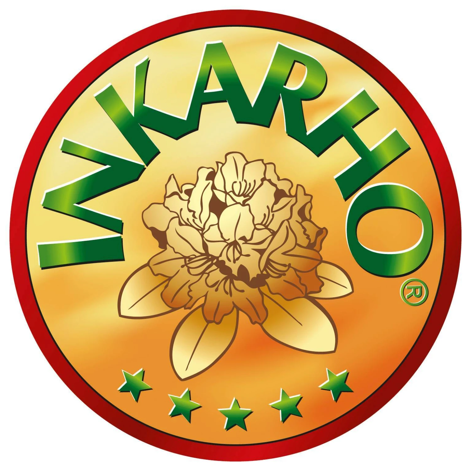 Rhododendron 'Bloombux'® Magenta, 6er-Set, Höhe 20-25 Cm, Topf 2 Liter 5 Rhododendron 'Bloombux'® Magenta, 6er-Set, Höhe 20-25 Cm, Topf 2 Liter – Bild 3