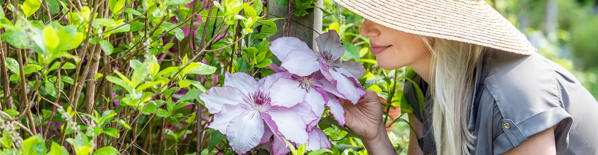 Titelseite 2 Titelseite -LECHUZA || Elho Verkaufsgeschäft GS744781 r2 1920x500 proportionalsmallest